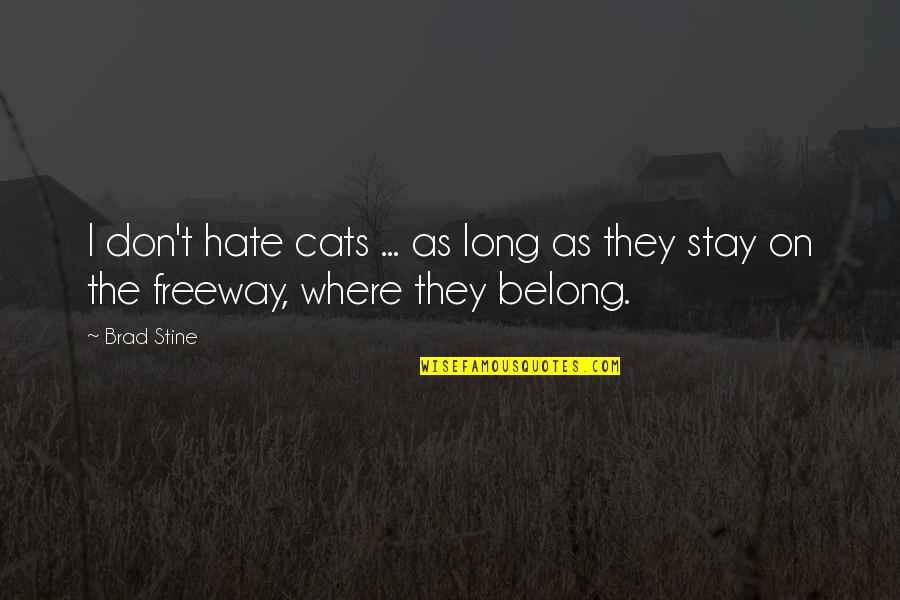 I Don't Belong Quotes By Brad Stine: I don't hate cats ... as long as