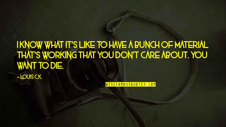 I Don't Care If I Die Quotes By Louis C.K.: I know what it's like to have a
