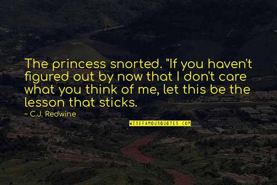 I Don't Care Quotes By C.J. Redwine: The princess snorted. "If you haven't figured out