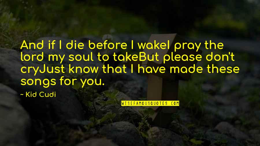 I Don't Cry For You Quotes By Kid Cudi: And if I die before I wakeI pray