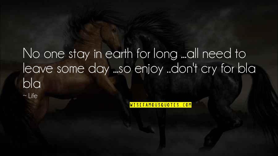 I Don't Cry For You Quotes By Life: No one stay in earth for long ...all