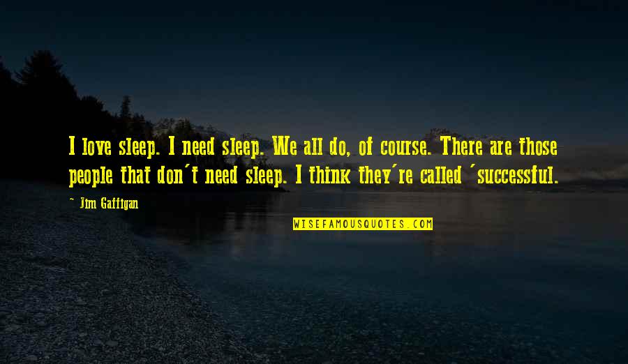 I Don't Do Love Quotes By Jim Gaffigan: I love sleep. I need sleep. We all