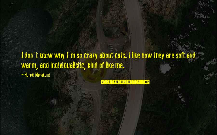 I Don't Know Why I Like You Quotes By Haruki Murakami: I don't know why I'm so crazy about