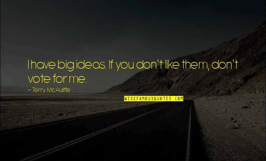 I Don't Like Me Quotes By Terry McAuliffe: I have big ideas. If you don't like