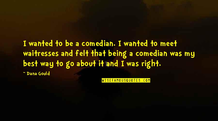 I Dont Like This World Quotes By Dana Gould: I wanted to be a comedian. I wanted