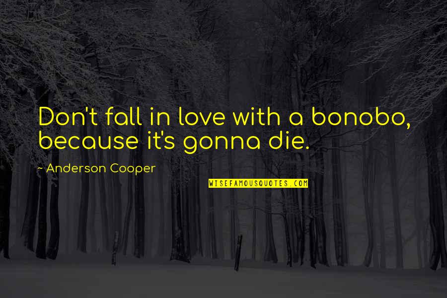 I Dont Love You But Quotes By Anderson Cooper: Don't fall in love with a bonobo, because I Dont Love You But Quotes By Anderson Cooper: Don't fall in love with a bonobo, because