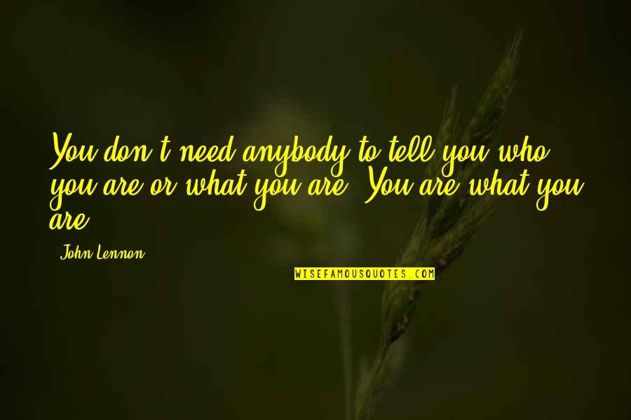 I Don't Need Anybody Quotes By John Lennon: You don't need anybody to tell you who