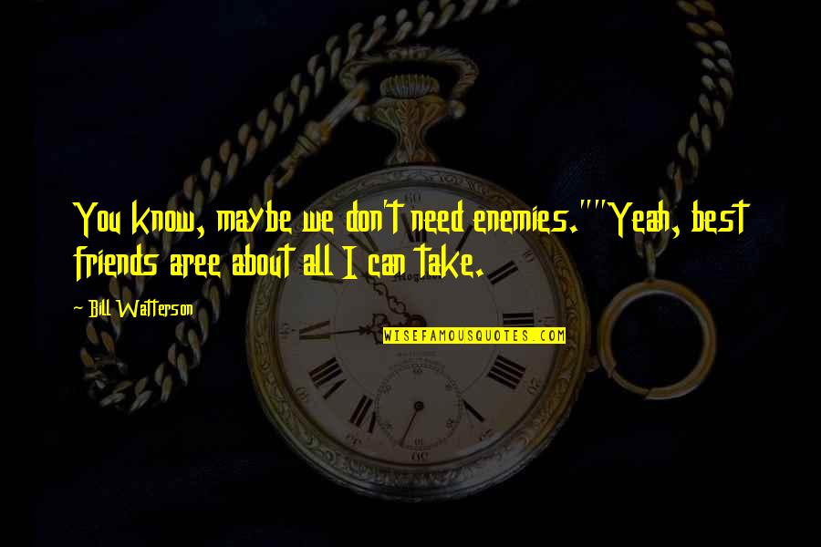 I Don't Need Friends Quotes By Bill Watterson: You know, maybe we don't need enemies.""Yeah, best I Don't Need Friends Quotes By Bill Watterson: You know, maybe we don't need enemies.""Yeah, best