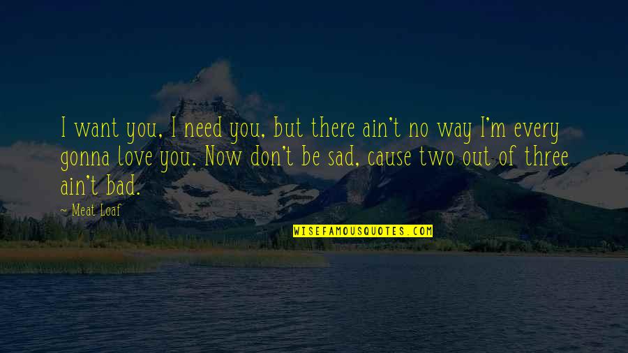 I Don't Need You Now Quotes By Meat Loaf: I want you, I need you, but there