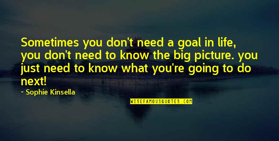 I Don't Need You Picture Quotes By Sophie Kinsella: Sometimes you don't need a goal in life,