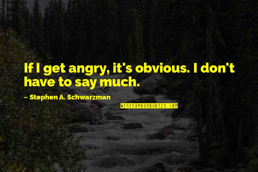 I Don't Say Much Quotes By Stephen A. Schwarzman: If I get angry, it's obvious. I don't