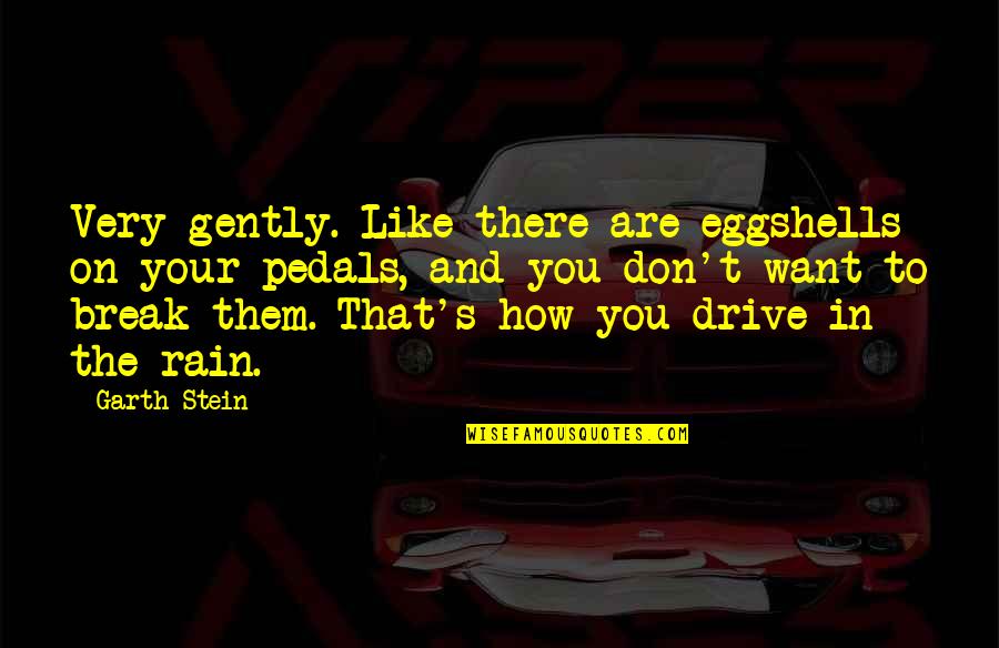 I Don't Want To Break Up With You Quotes By Garth Stein: Very gently. Like there are eggshells on your