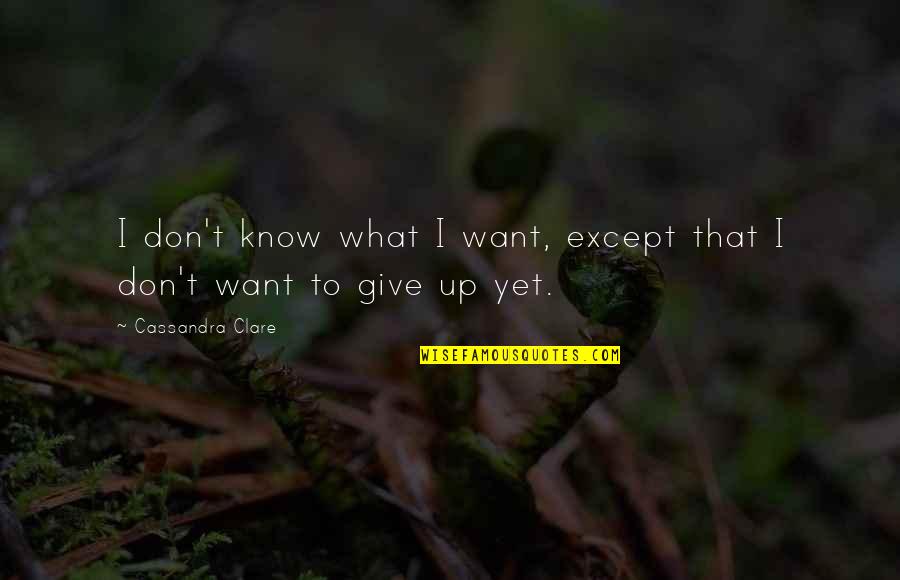 I Don't Want To Give Up Quotes By Cassandra Clare: I don't know what I want, except that