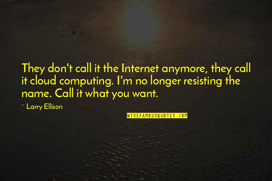 I Don't Want You Anymore Quotes By Larry Ellison: They don't call it the Internet anymore, they