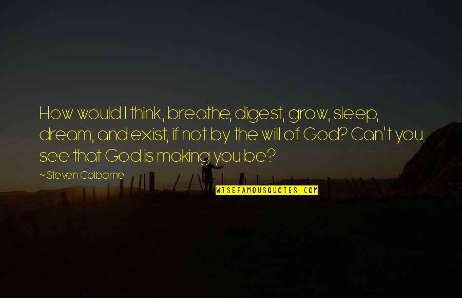 I Dream Of You Quotes By Steven Colborne: How would I think, breathe, digest, grow, sleep,