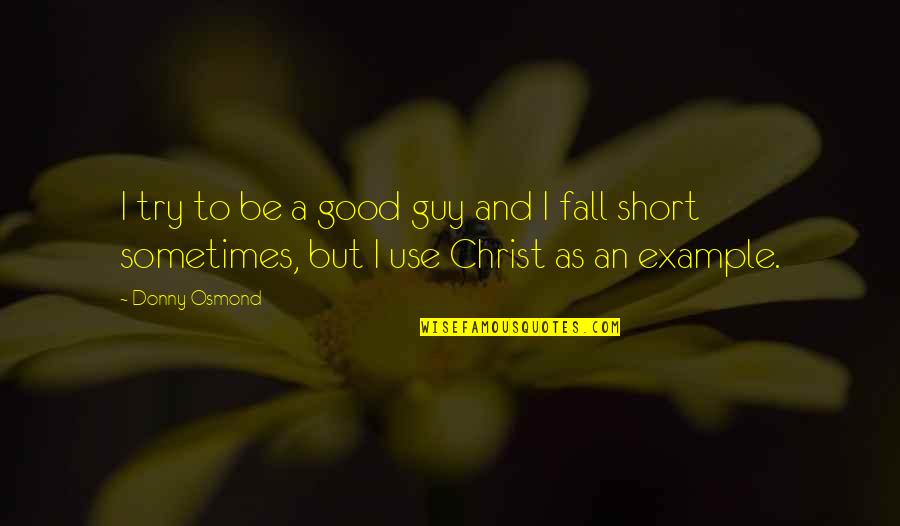 I Fall Short Quotes By Donny Osmond: I try to be a good guy and