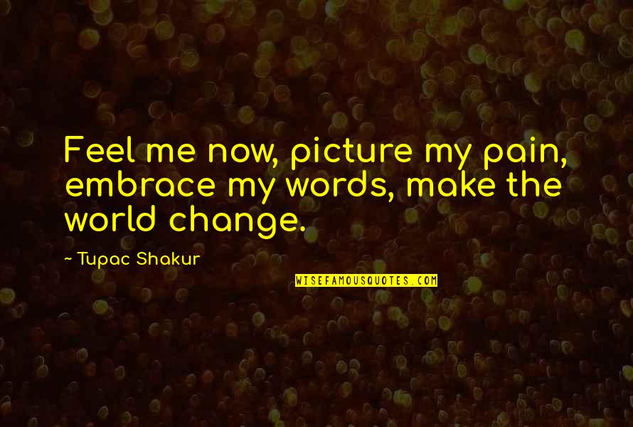 I Feel At Peace Quotes By Tupac Shakur: Feel me now, picture my pain, embrace my