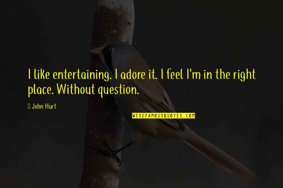 I Feel Hurt Quotes By John Hurt: I like entertaining. I adore it. I feel