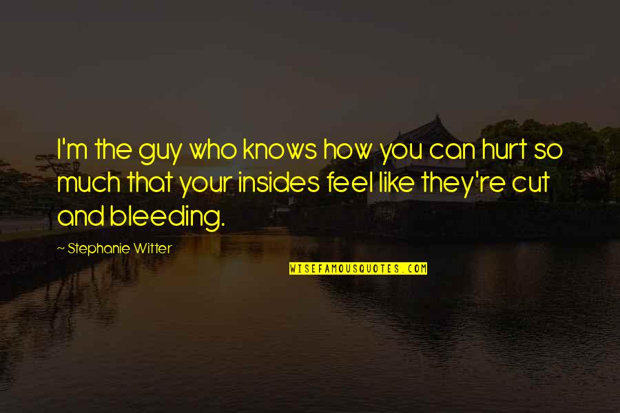 I Feel Hurt Quotes By Stephanie Witter: I'm the guy who knows how you can I Feel Hurt Quotes By Stephanie Witter: I'm the guy who knows how you can