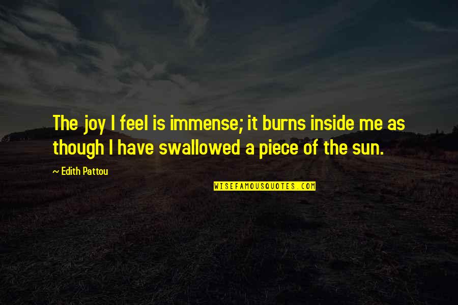 I Feel Joy Quotes By Edith Pattou: The joy I feel is immense; it burns I Feel Joy Quotes By Edith Pattou: The joy I feel is immense; it burns