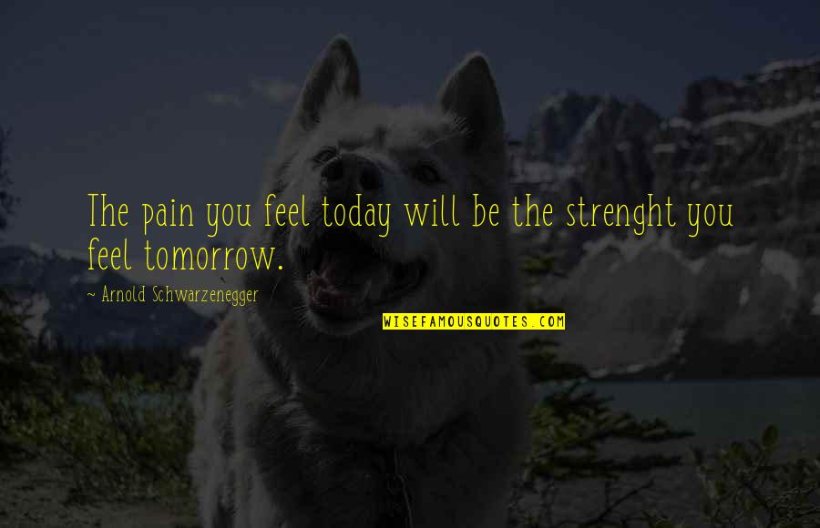 I Feel No Pain Quotes By Arnold Schwarzenegger: The pain you feel today will be the