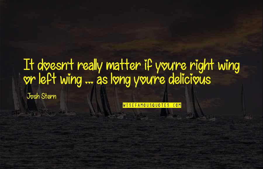 I Feel Nothing Anymore Quotes By Josh Stern: It doesn't really matter if you're right wing I Feel Nothing Anymore Quotes By Josh Stern: It doesn't really matter if you're right wing