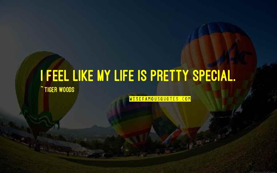 I Feel Pretty Quotes By Tiger Woods: I feel like my life is pretty special.