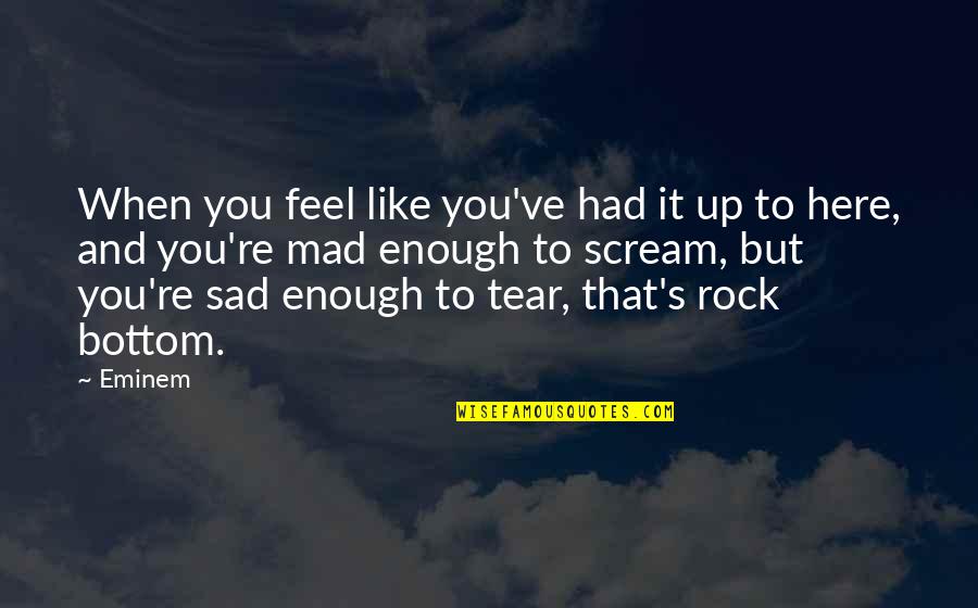 I Feel So Sad Quotes By Eminem: When you feel like you've had it up