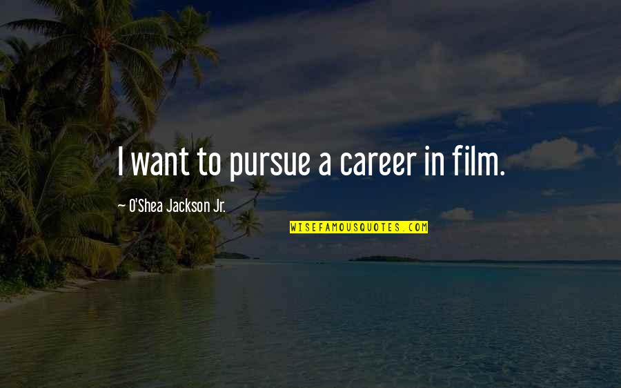 I Feel So Silly Quotes By O'Shea Jackson Jr.: I want to pursue a career in film. I Feel So Silly Quotes By O'Shea Jackson Jr.: I want to pursue a career in film.