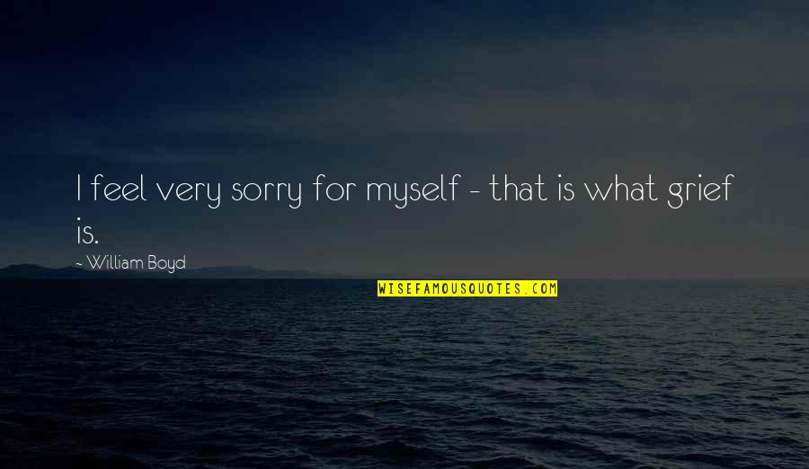 I Feel So Sorry For Myself Quotes By William Boyd: I feel very sorry for myself - that