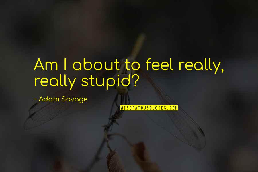 I Feel Stupid Quotes By Adam Savage: Am I about to feel really, really stupid? I Feel Stupid Quotes By Adam Savage: Am I about to feel really, really stupid?