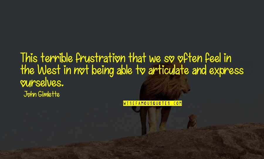 I Feel Terrible Quotes By John Gimlette: This terrible frustration that we so often feel
