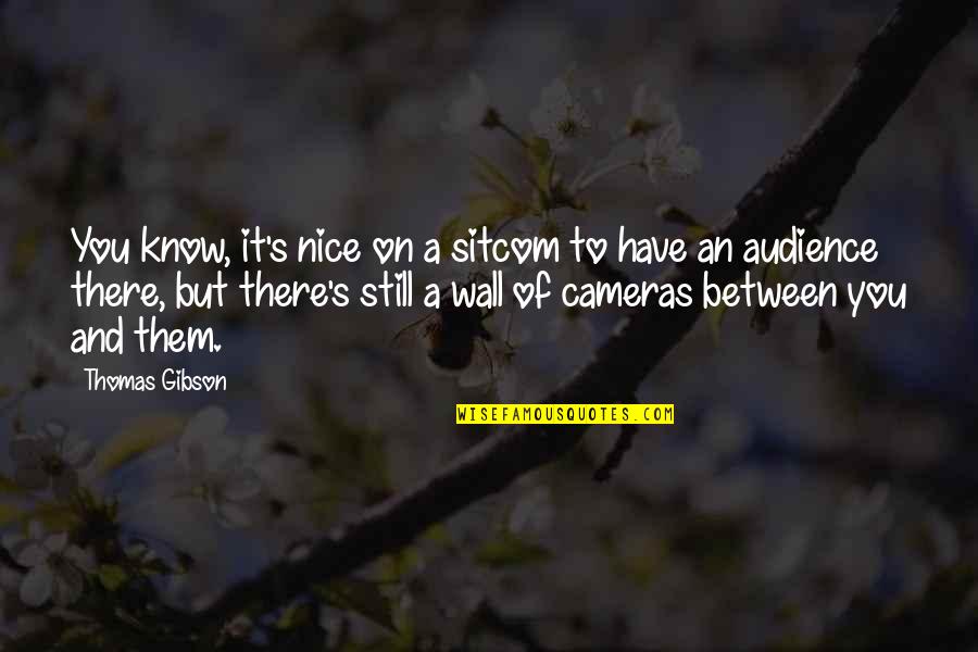 I Feel Your Pain Funny Quotes By Thomas Gibson: You know, it's nice on a sitcom to