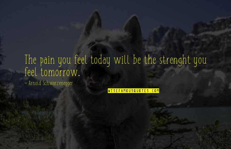 I Feel Your Pain Quotes By Arnold Schwarzenegger: The pain you feel today will be the