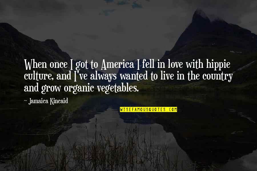 I Fell In Love Once Quotes By Jamaica Kincaid: When once I got to America I fell