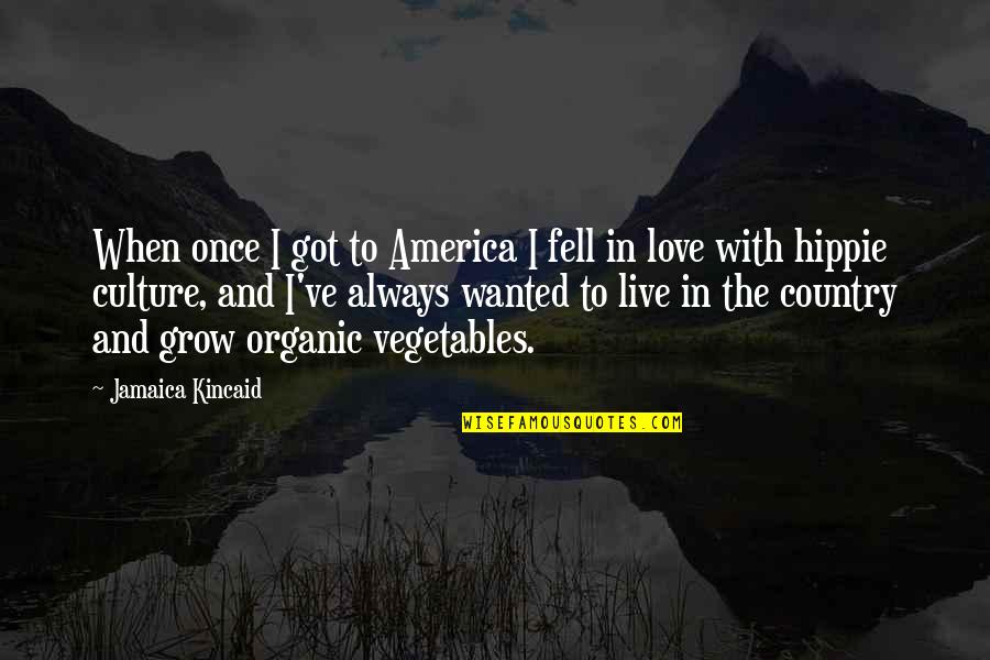 I Fell In Love Once Quotes By Jamaica Kincaid: When once I got to America I fell I Fell In Love Once Quotes By Jamaica Kincaid: When once I got to America I fell