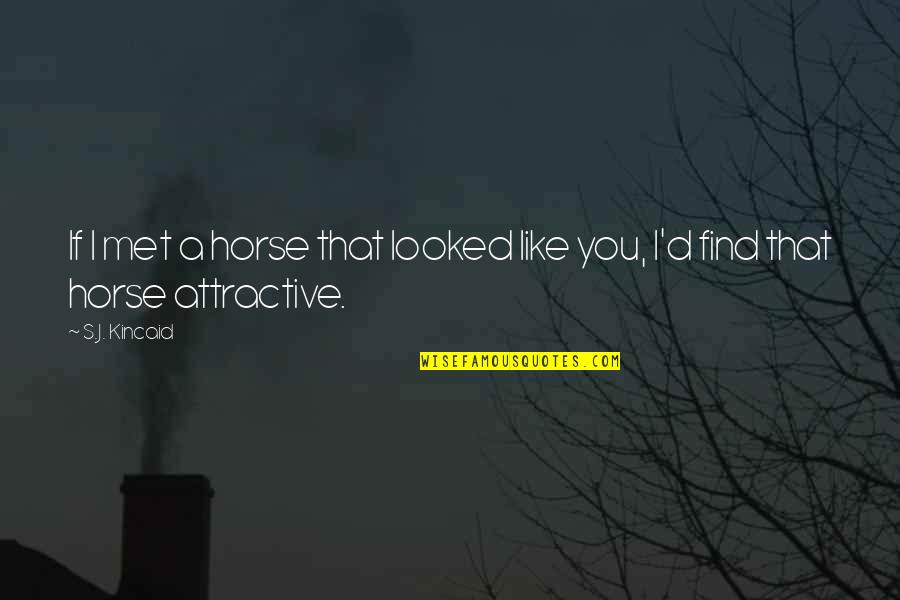 I Find You Attractive Quotes By S.J. Kincaid: If I met a horse that looked like