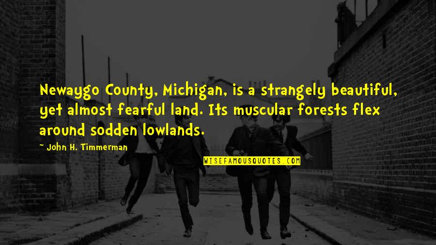 I Flex Quotes By John H. Timmerman: Newaygo County, Michigan, is a strangely beautiful, yet I Flex Quotes By John H. Timmerman: Newaygo County, Michigan, is a strangely beautiful, yet