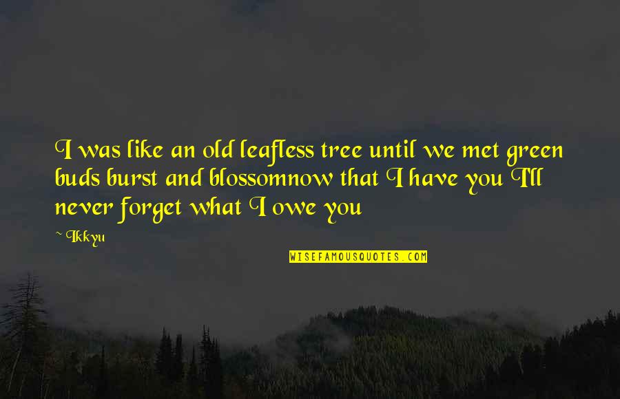 I Forget You Quotes By Ikkyu: I was like an old leafless tree until