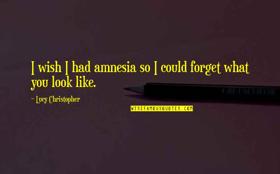 I Forget You Quotes By Lucy Christopher: I wish I had amnesia so I could
