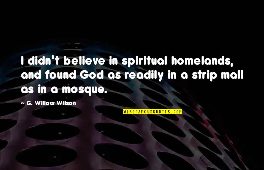 I Found God Quotes By G. Willow Wilson: I didn't believe in spiritual homelands, and found