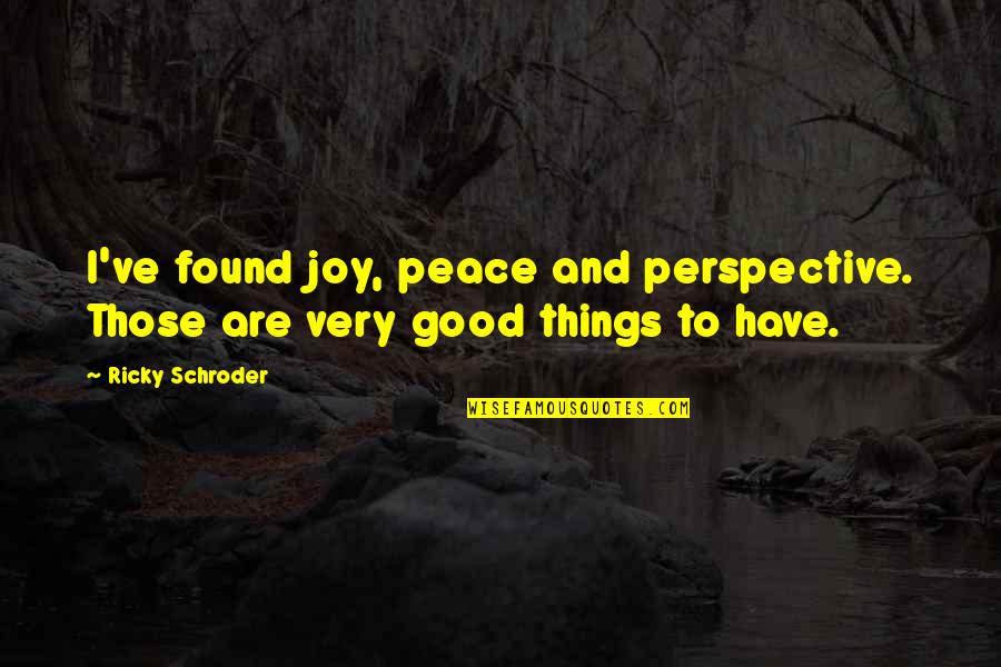 I Found My Peace Quotes By Ricky Schroder: I've found joy, peace and perspective. Those are