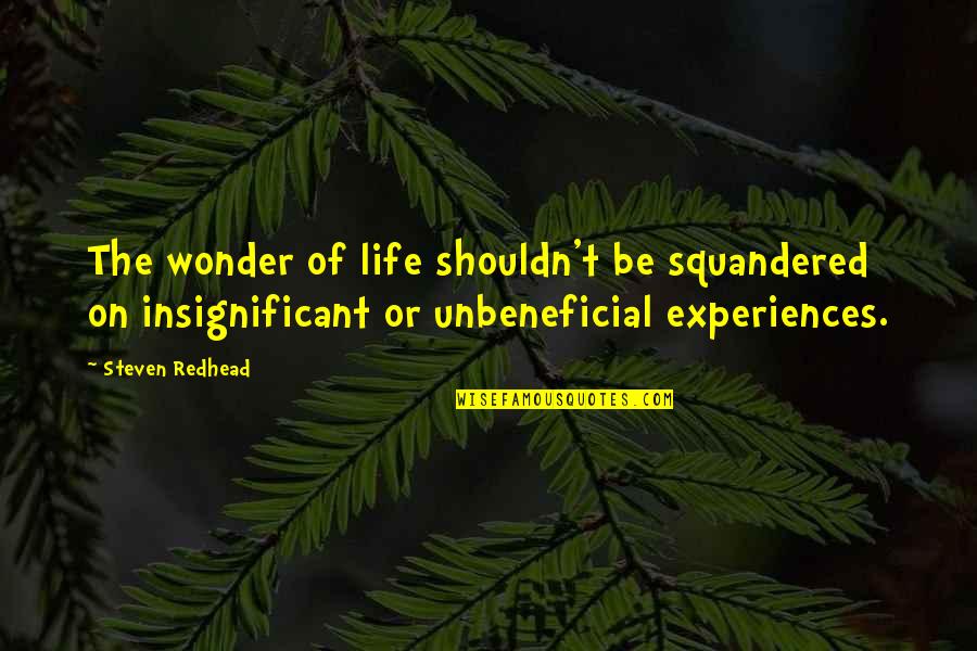 I Found Someone Better Than You Quotes By Steven Redhead: The wonder of life shouldn't be squandered on