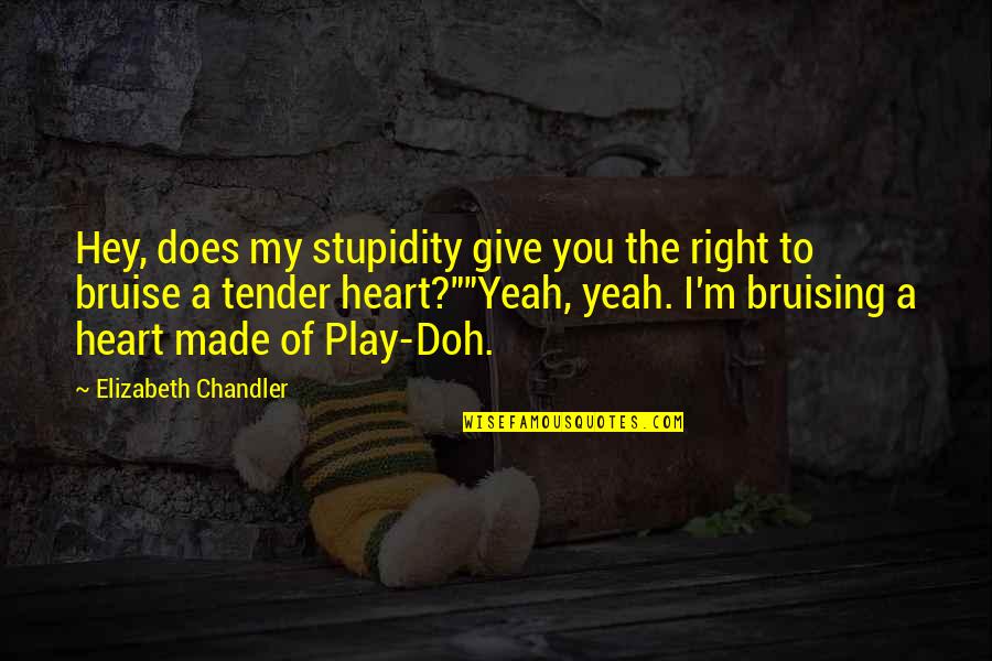 I Give You My Heart Quotes By Elizabeth Chandler: Hey, does my stupidity give you the right I Give You My Heart Quotes By Elizabeth Chandler: Hey, does my stupidity give you the right