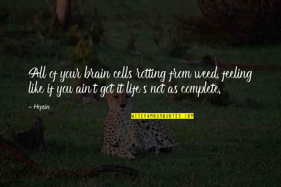 I Got Feelings For You Quotes By Hopsin: All of your brain cells rotting from weed, I Got Feelings For You Quotes By Hopsin: All of your brain cells rotting from weed,