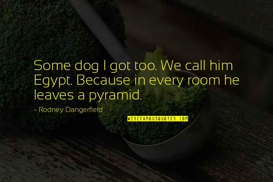 I Got Him Quotes By Rodney Dangerfield: Some dog I got too. We call him I Got Him Quotes By Rodney Dangerfield: Some dog I got too. We call him