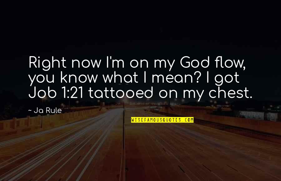 I Got Job Quotes By Ja Rule: Right now I'm on my God flow, you