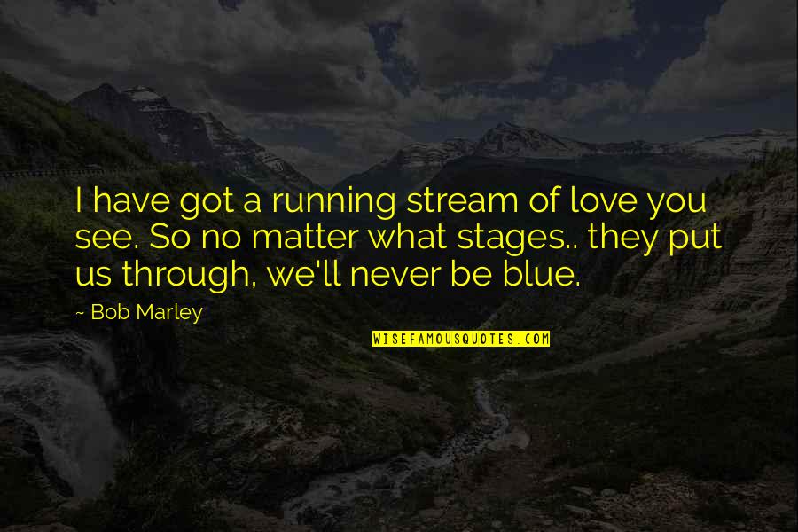 I Got Us Quotes By Bob Marley: I have got a running stream of love