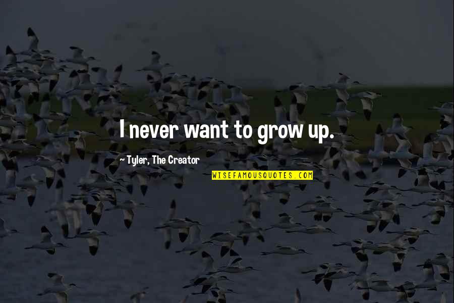 I Grow Up Quotes By Tyler, The Creator: I never want to grow up.