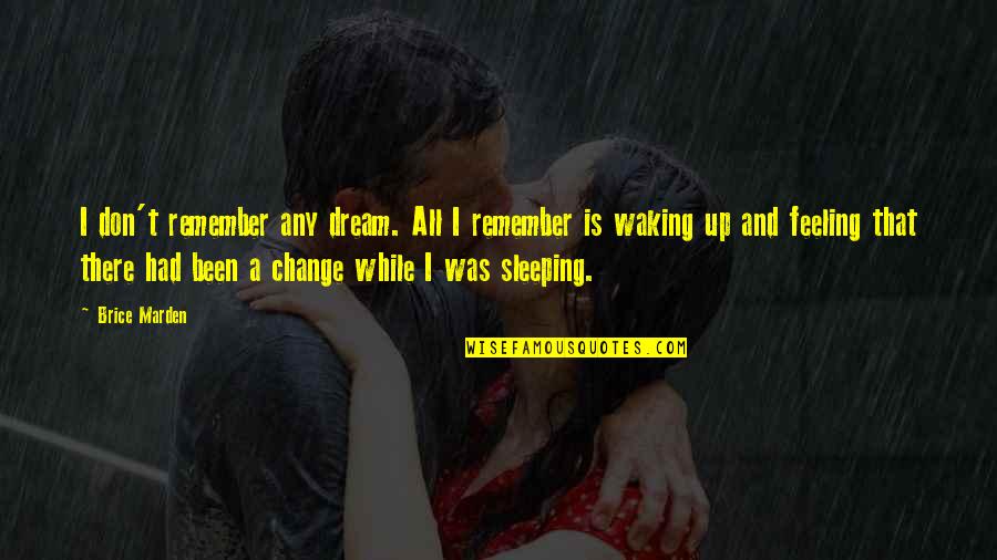 I Had A Dream Quotes By Brice Marden: I don't remember any dream. All I remember